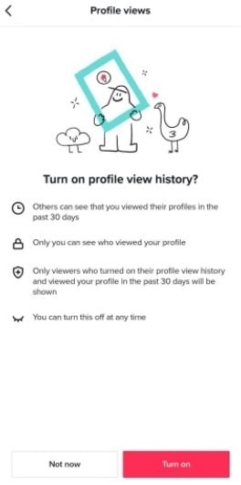 TikTok Profile View History