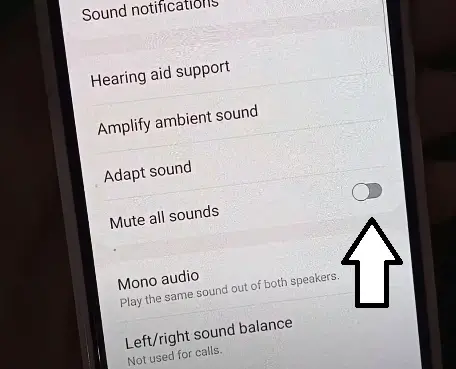 Mute all sounds